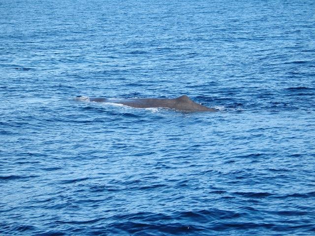 Urlaub in Norwegen 2006